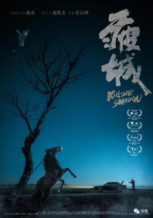 作假伊利诺伊州驾驶执照